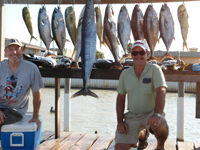 Blackfin Tuna, Wahoo, Ling and Dorado